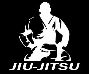  Jiu Jitsu- A relação entre o Jiu Jitsu e a Defesa Pes...